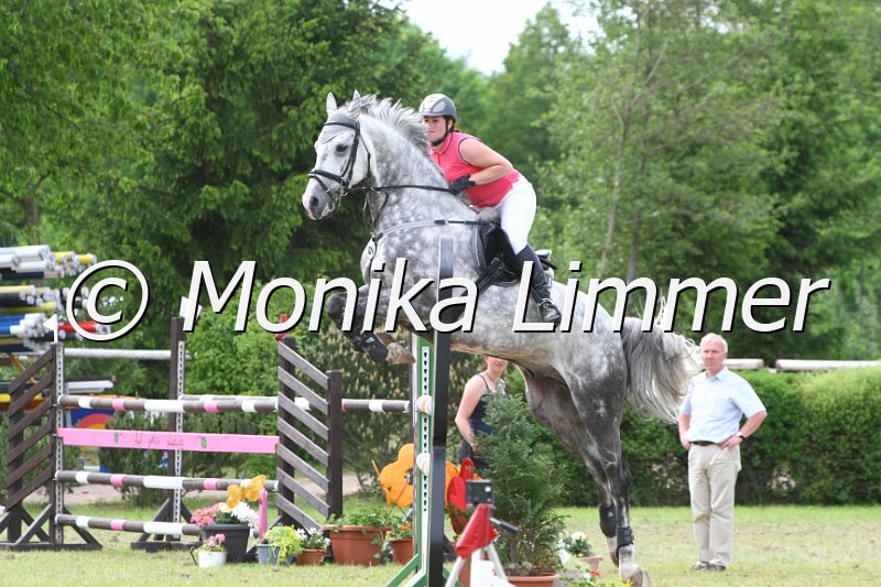 204M6588__Spring Mx.JPG